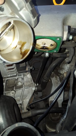 20150902_111645[1].jpg