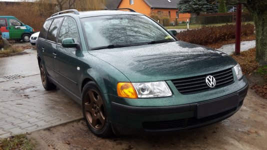 Passat_1.jpg