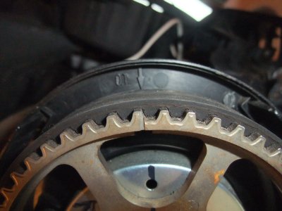 DSCF5198.JPG