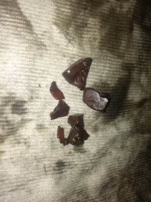 IMG_20170819_200703.jpg