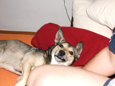 DSCF1890.JPG