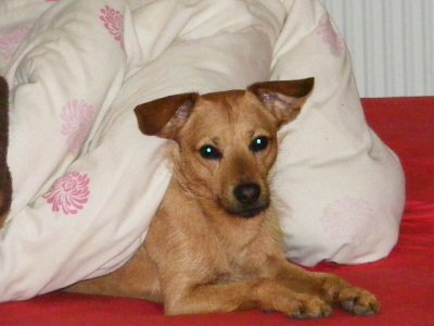 DSCF7526.JPG