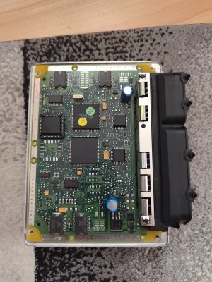 IMG_20240905_170428.jpg IMG_20240905_170428.jpg