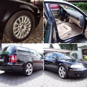 Passat 2.5 V6 TDI Variant (3BG)