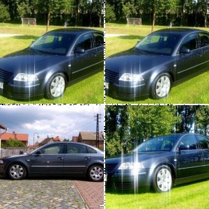 Passat 2.5 V6 TDI (3BG)