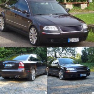 Passat 2.5 V6 TDI (3BG)