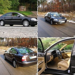 Passat 2.5 V6 TDI (3BG)