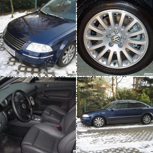 Passat 2.5 V6 TDI (3BG)