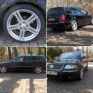 Passat 2.5 V6 TDI Variant (3BG)