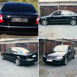 Passat 2.5 V6 TDI (3BG)