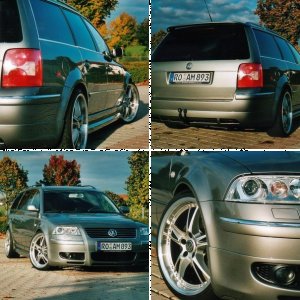 Passat 2.5 V6 TDI Variant (3BG)