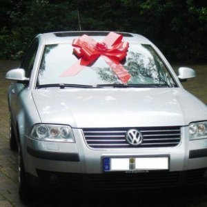 Passat 1.8T (3BG)