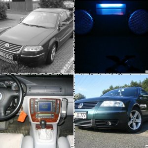 Passat 2.5 V6 TDI (3BG)