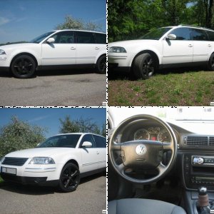 Passat 2.5 V6 TDI Variant (3BG)