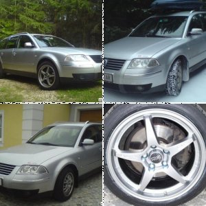 Passat 1.9 TDI Variant (3BG)