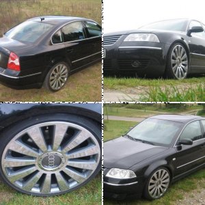 Passat 2.5 V6 TDI (3BG)