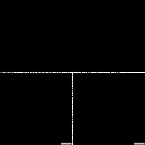 Passat 2.5 V6 TDI (3BG)