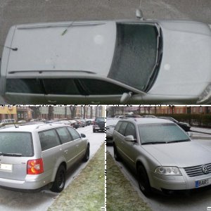 Passat 2.0 TDI DPF Variant (3BG)