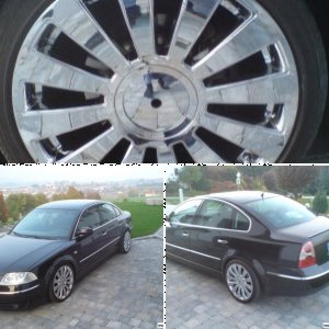 Passat 1.9 TDI (3BG)
