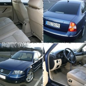 Passat W8 ()