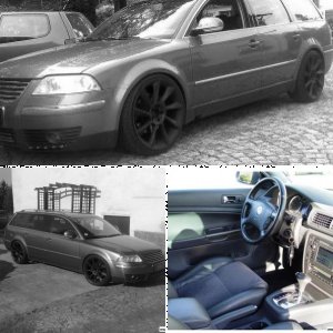 Passat 2.5 V6 TDI Variant (3BG)