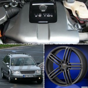 Passat 2.5 V6 TDI Variant (3BG)