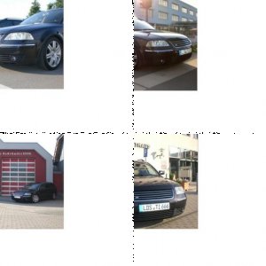 Passat 1.9 TDI Variant (3BG)