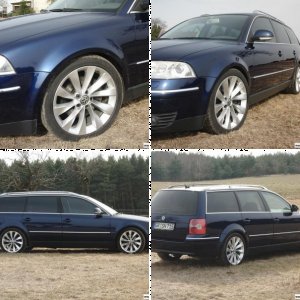 Passat 2.5 V6 TDI Variant (3BG)