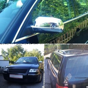 Passat 1.9 TDI Variant (3BG)