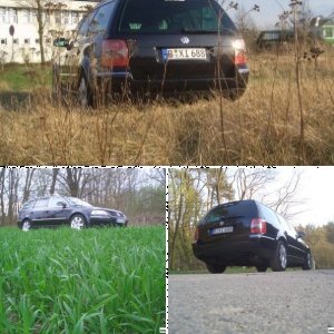 Passat 2.5 V6 TDI Variant (3BG)