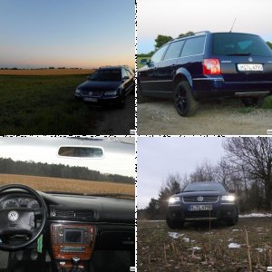 Passat 2.5 V6 TDI Variant (3BG)