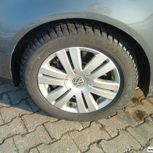 TSW Reflex (Winter)