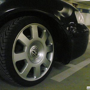 volkswagen champion (Sommer)