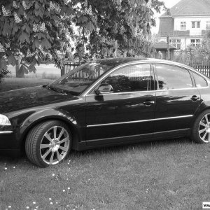 Volkswagen Tecno Magnesio Montreal (Sommer)