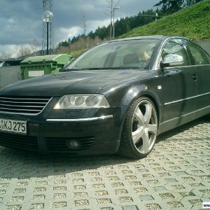 Passat W8