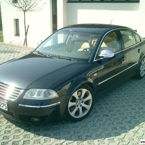 Passat W8