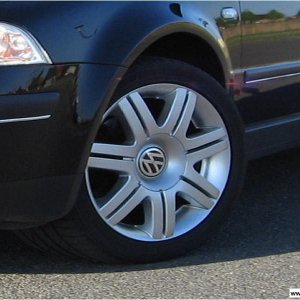 VW Phönix (Sommer)