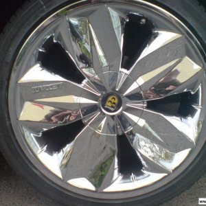 Lexani Crystal (Sommer)