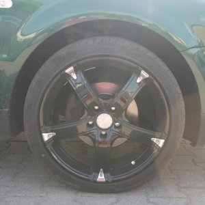 Platin P44 (Sommer)