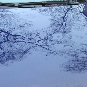 Passat 2.0 TDI DPF Variant