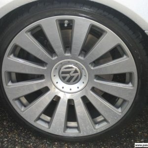 Audi A8 S-Line Poliert (Sommer)