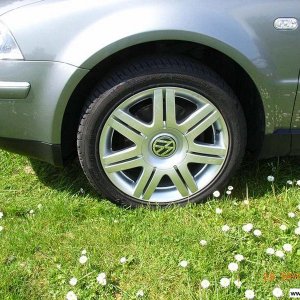 Volkswagen Phönix (Sommer)