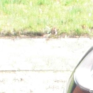 Volkswagen Phoenix (Sommer)