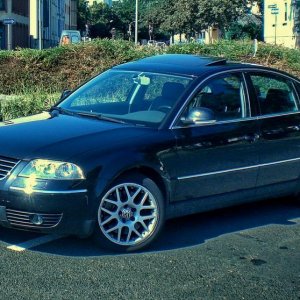 Passat W8