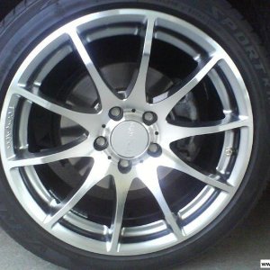 Tomason TN1 (Sommer)