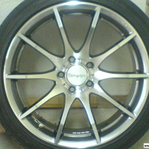 Tomason TN1 (Sommer)