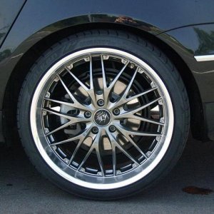 Barracuda Voltec T6 (Sommer)