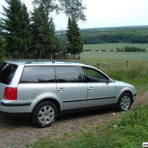 original vw (Sommer)