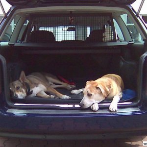 Passat 2.5 V6 TDI Variant