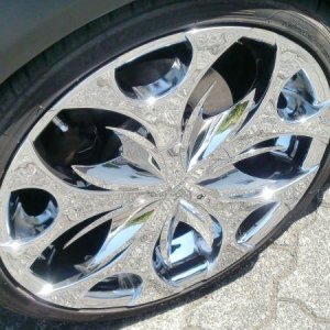 Verde Scorpion (Sommer)